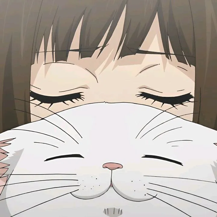 hachikonana707 Avatar